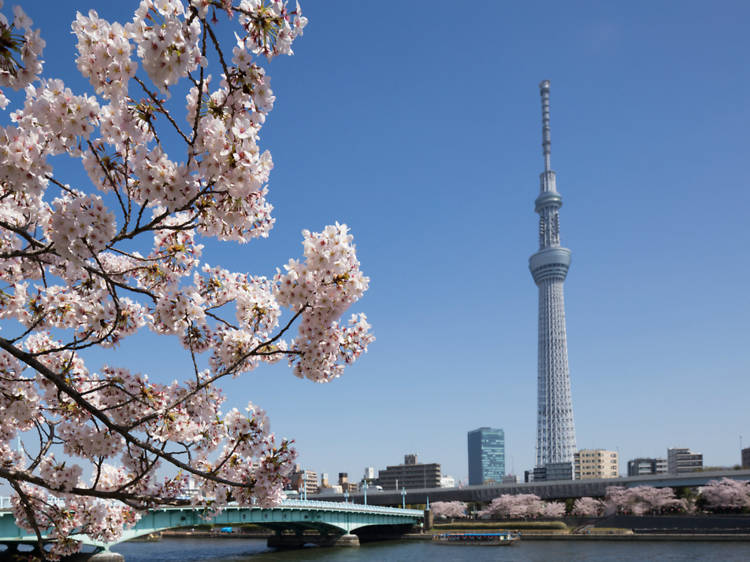 The 88 best things to do in Tokyo