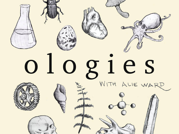 Ologies