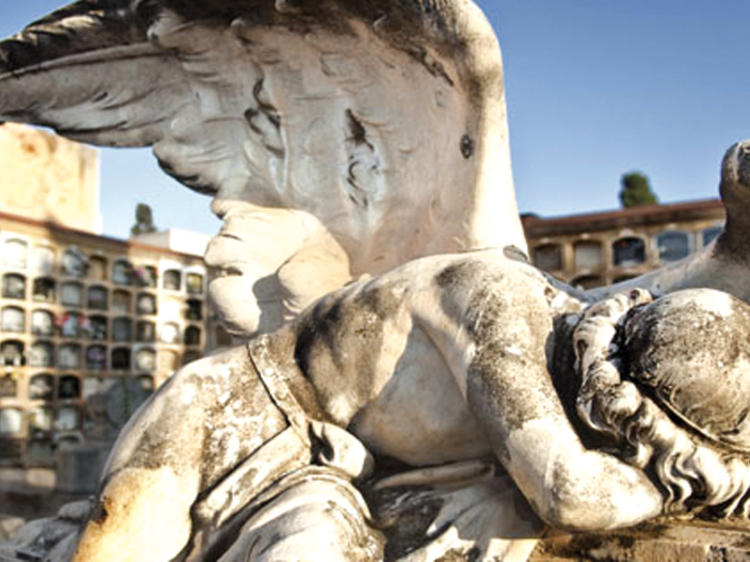 Go on a nighttime excursion through Poblenou and Montjuïc cemeteries