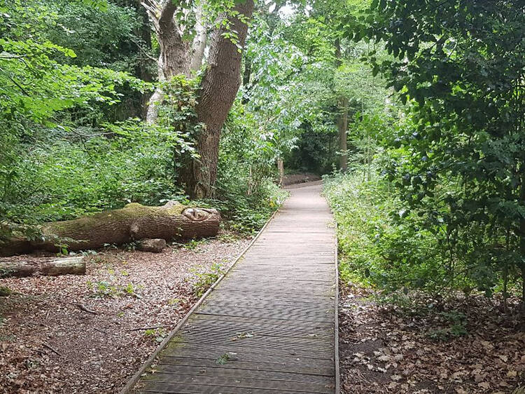 See the inspiration for ‘Lord of the Rings’ at Moseley Bog See the inspiration for ‘Lord of the Rings’ at Moseley Bog