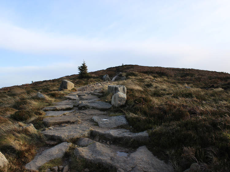 Dublin mountains tour