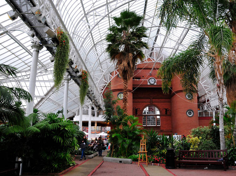 Explore Glasgow Botanic Gardens