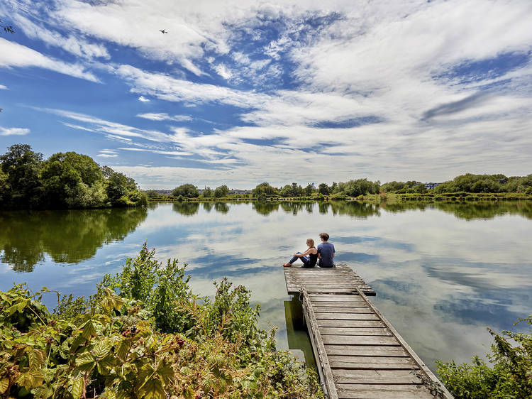 Spot wildlife at Walthamstow Wetlands