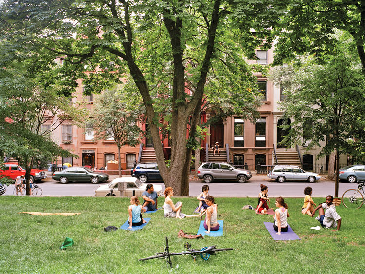 The best NYC parks