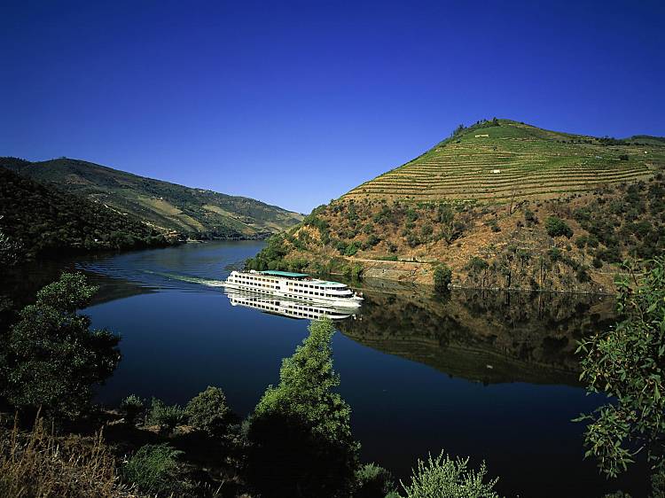 Douro Valley Small-Group Tour with Wine Tasting and lunch 