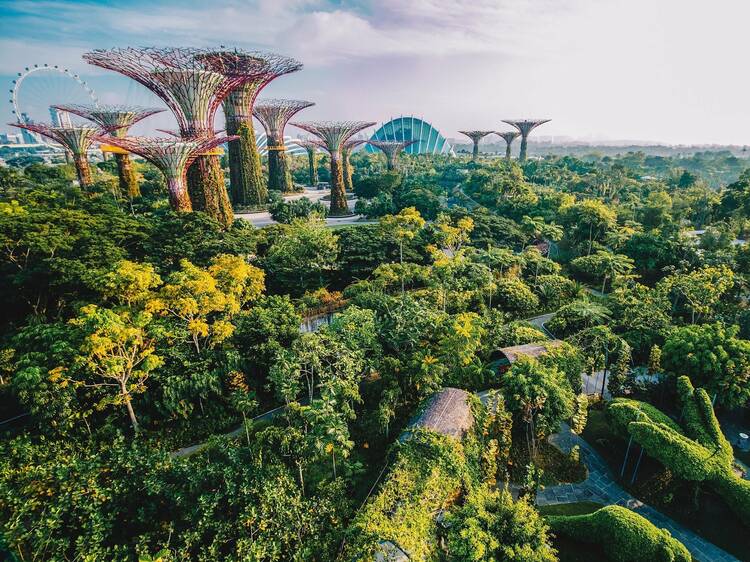 The 101 best things to do in Singapore