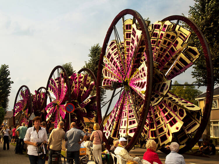These stunning pictures show the world’s biggest flower parade