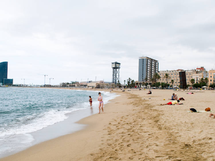 Barceloneta and the Ports